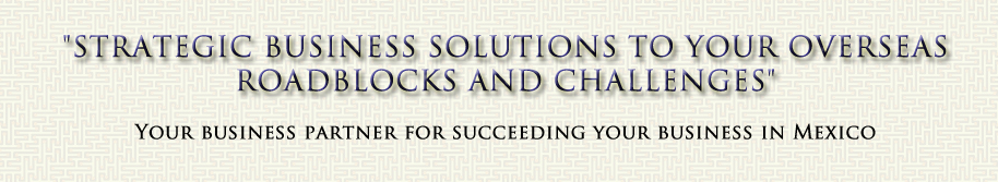 Strategic business solutions to your overseas
roadblocks and challenges